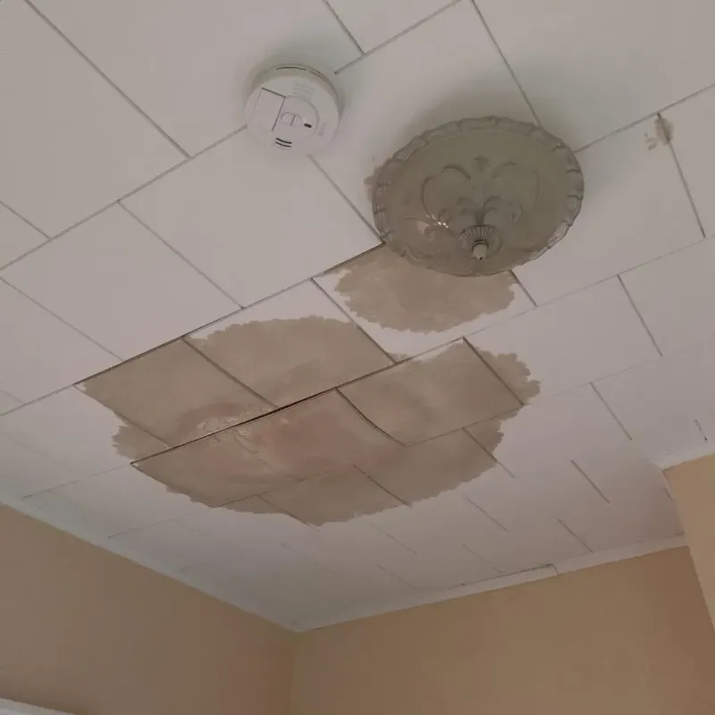 Ceiling Water Damage Repair in Saginaw, TX