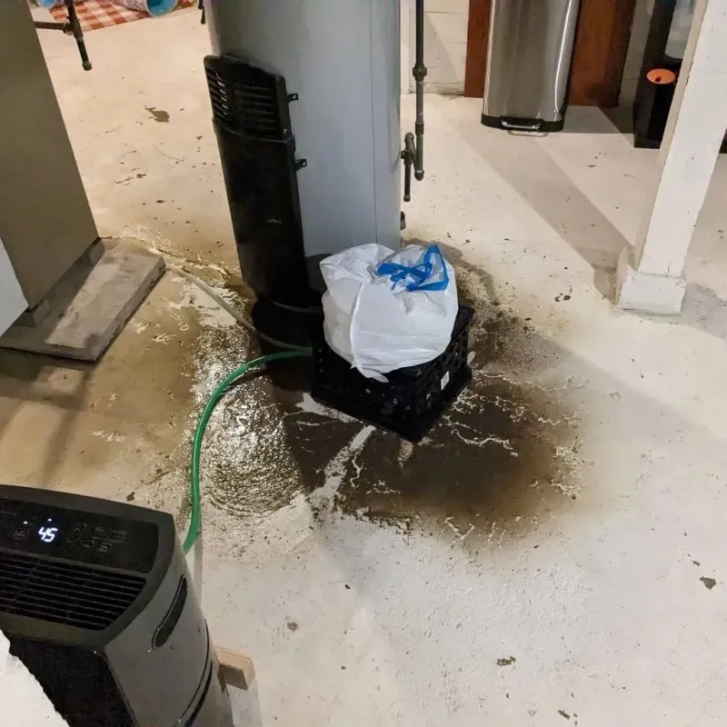 Sewage Backup Cleanup Service in Saginaw, TX